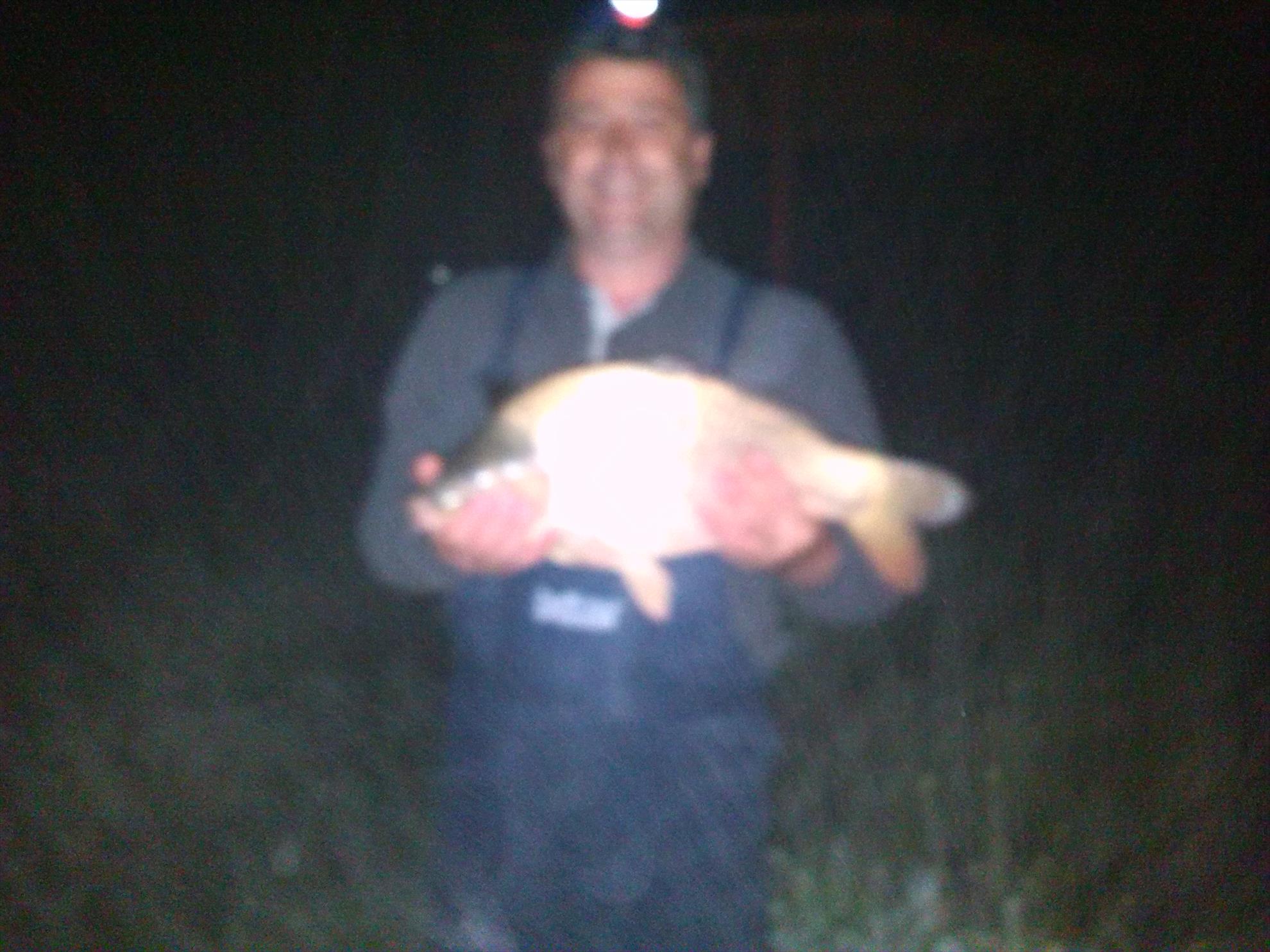 lilieci teleorman - img20140501021933.jpg